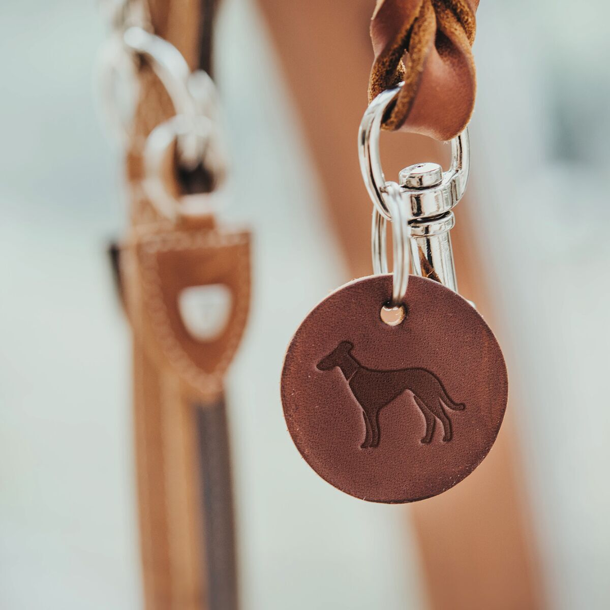 Hunter Leash Solid Education Brown