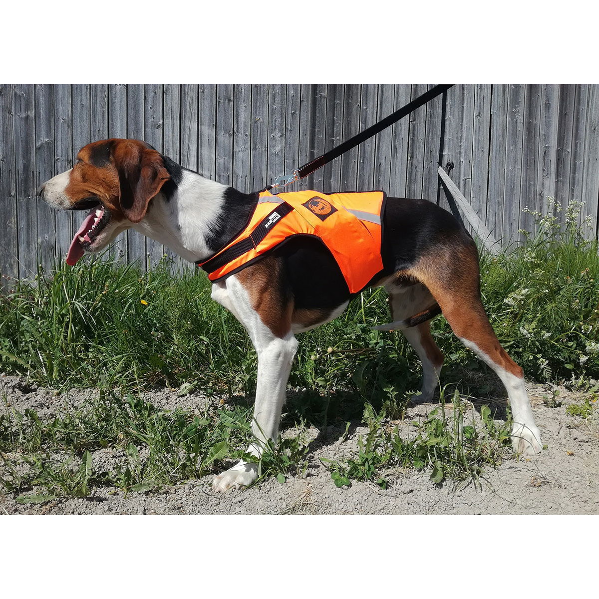 Huomioliivi Rymy, Kardog