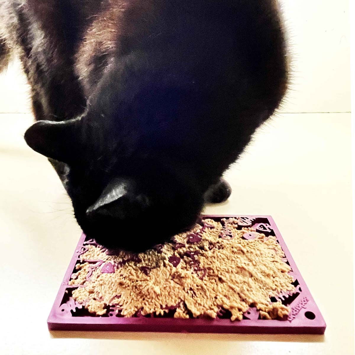 SodaPup Emat Fishy cat