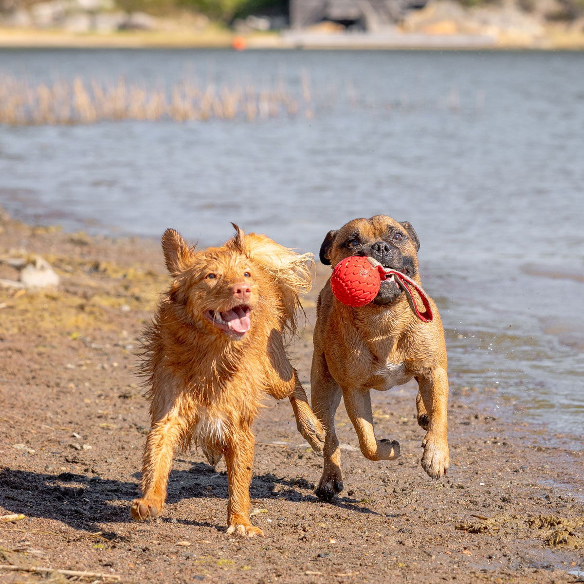 N-Gage Hydro Handler oranssi M