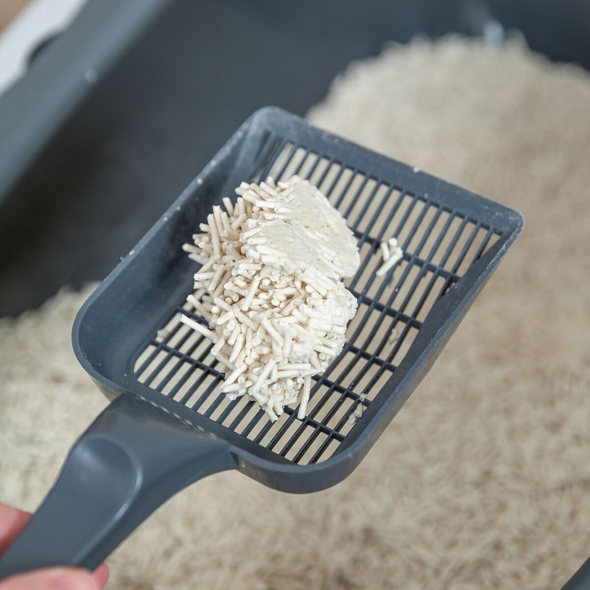 Trixie Tofu clumping cat litter