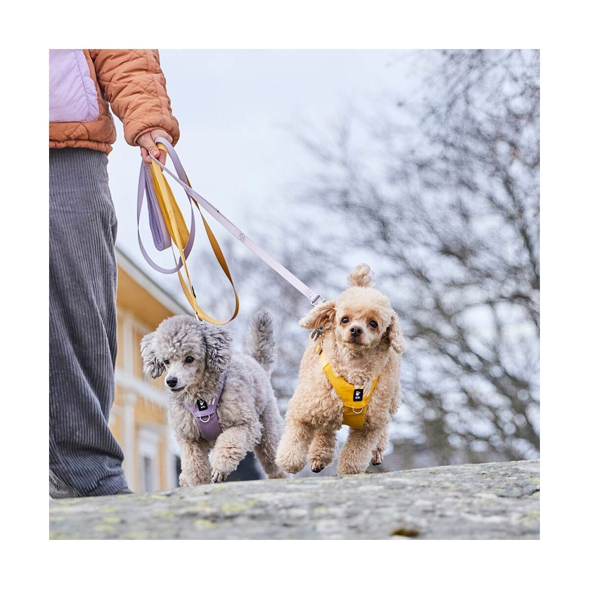 Hurtta Seeker Standard talutin 180*15