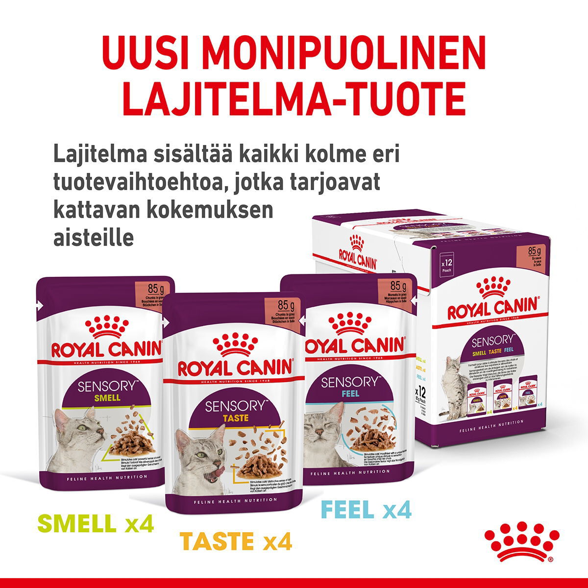 Royal Canin Sensory Taste Gravy Adult kissan märkäruoka