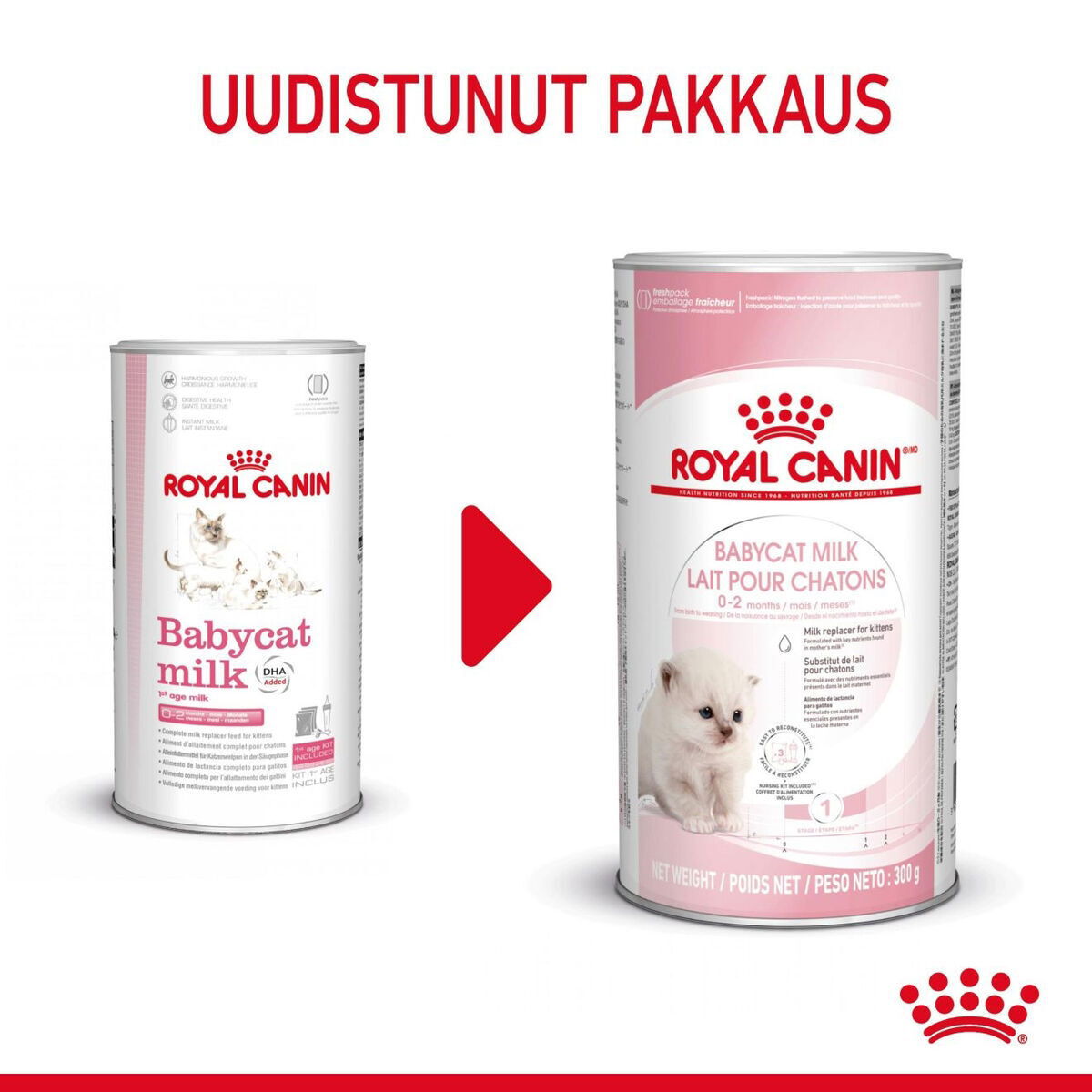 Royal Canin Babycat Milk maito kissanpennulle