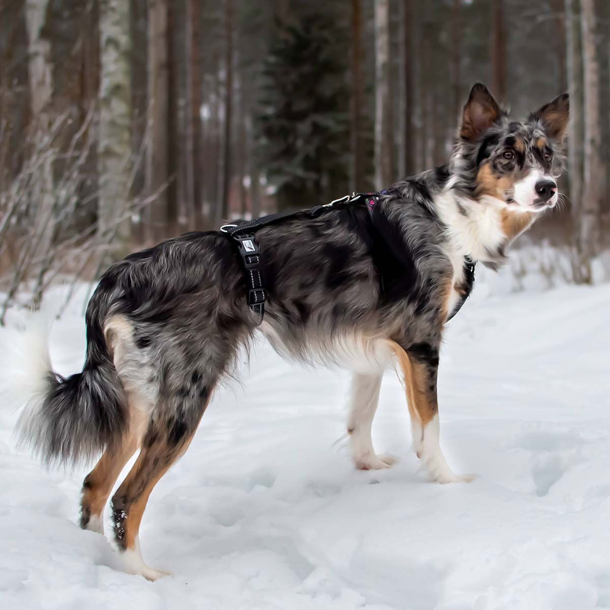 Rescue valjas stoppari, musta