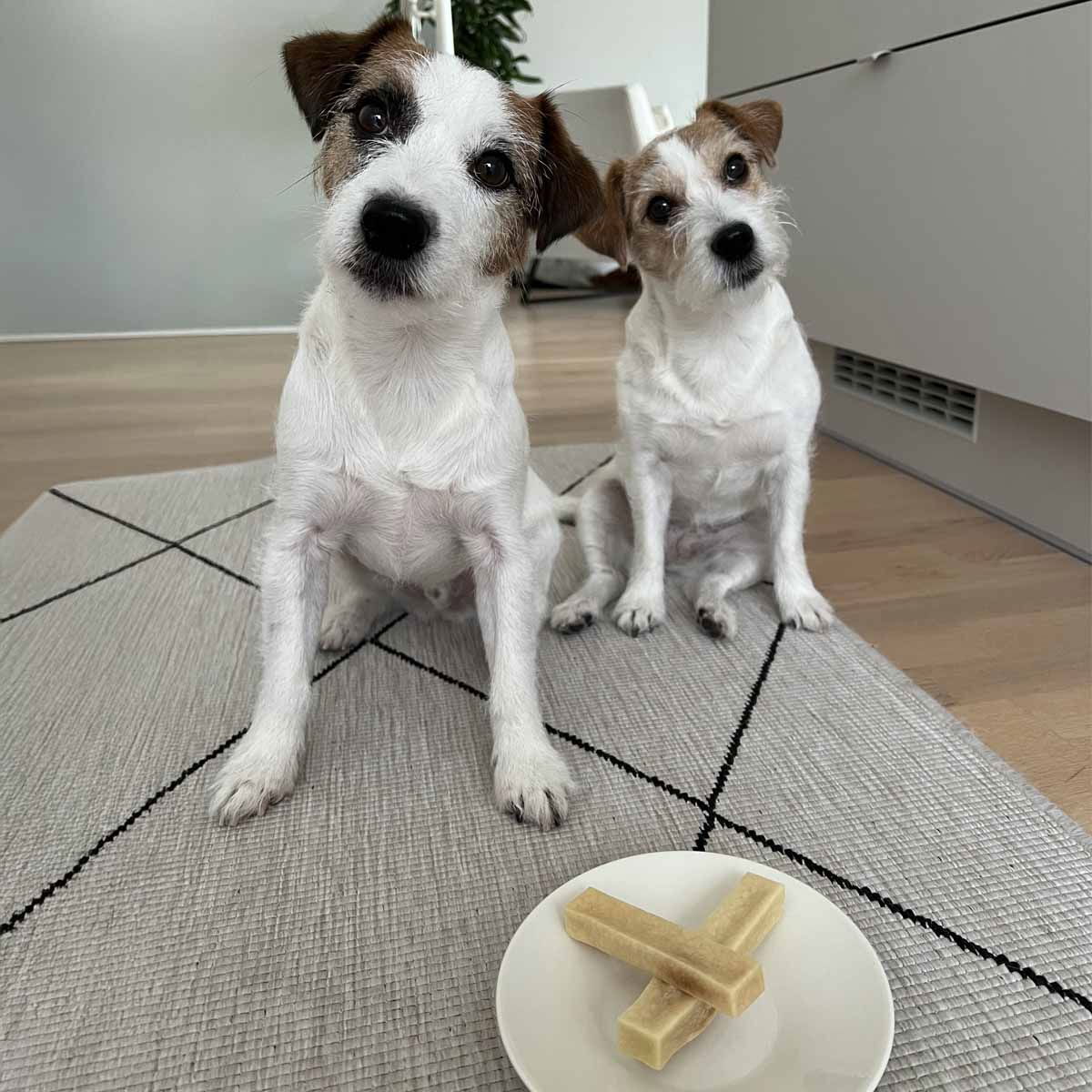 Effe Chews Cheese Bone