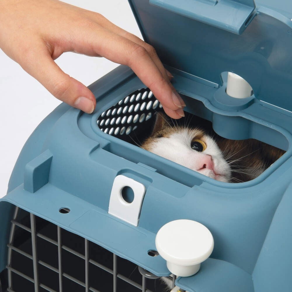 Catit Carrier kantokoppa siniharmaa
