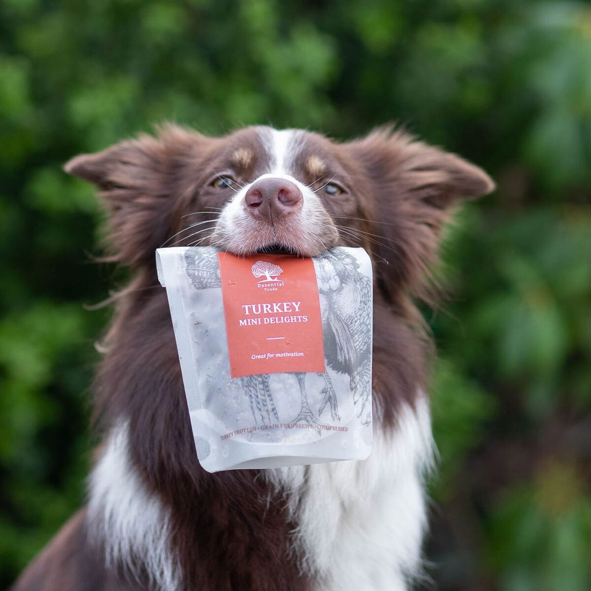 ESSENTIAL Turkey Mini Delights 100g