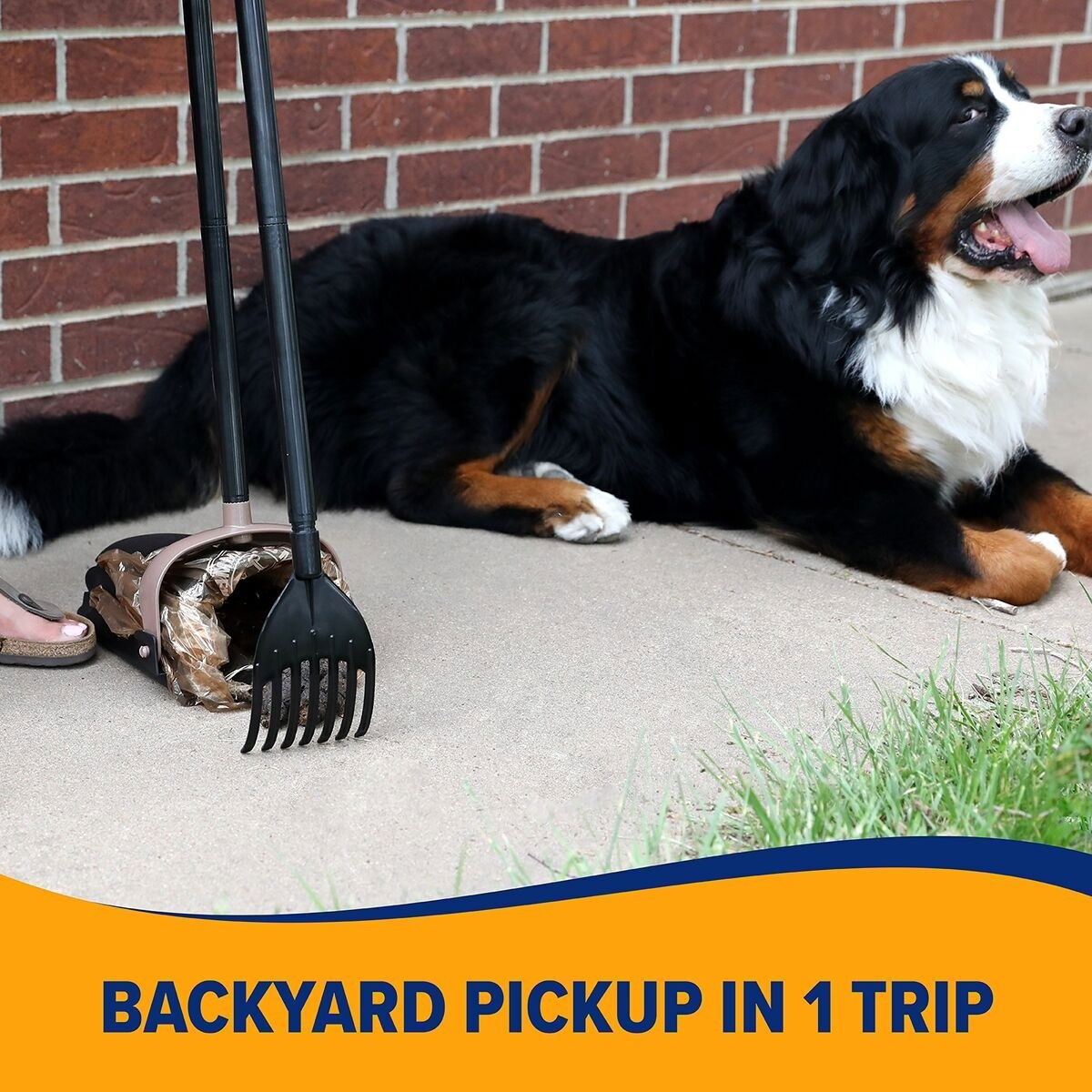 Arm & Hammer ™ Swivel Bin & Rake 