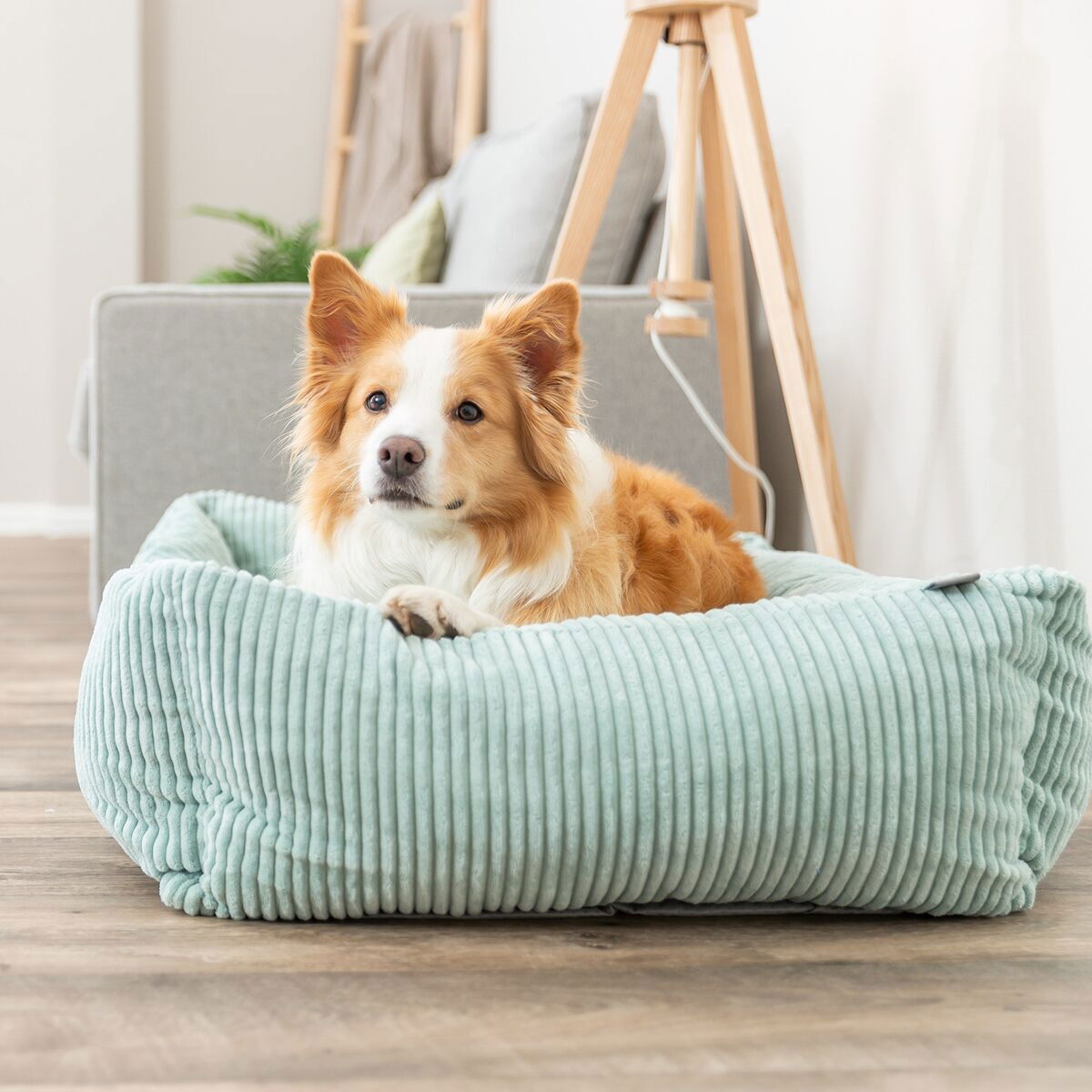 TR Vital Bed Jonna Sage 