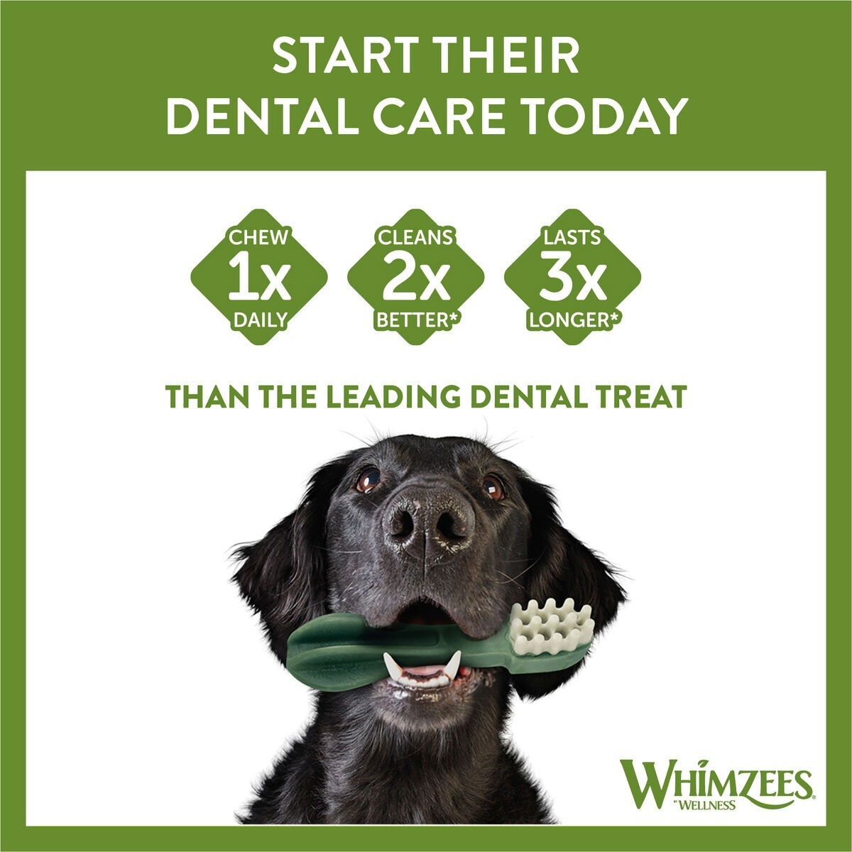 Whimzees hammasharja M 12kpl