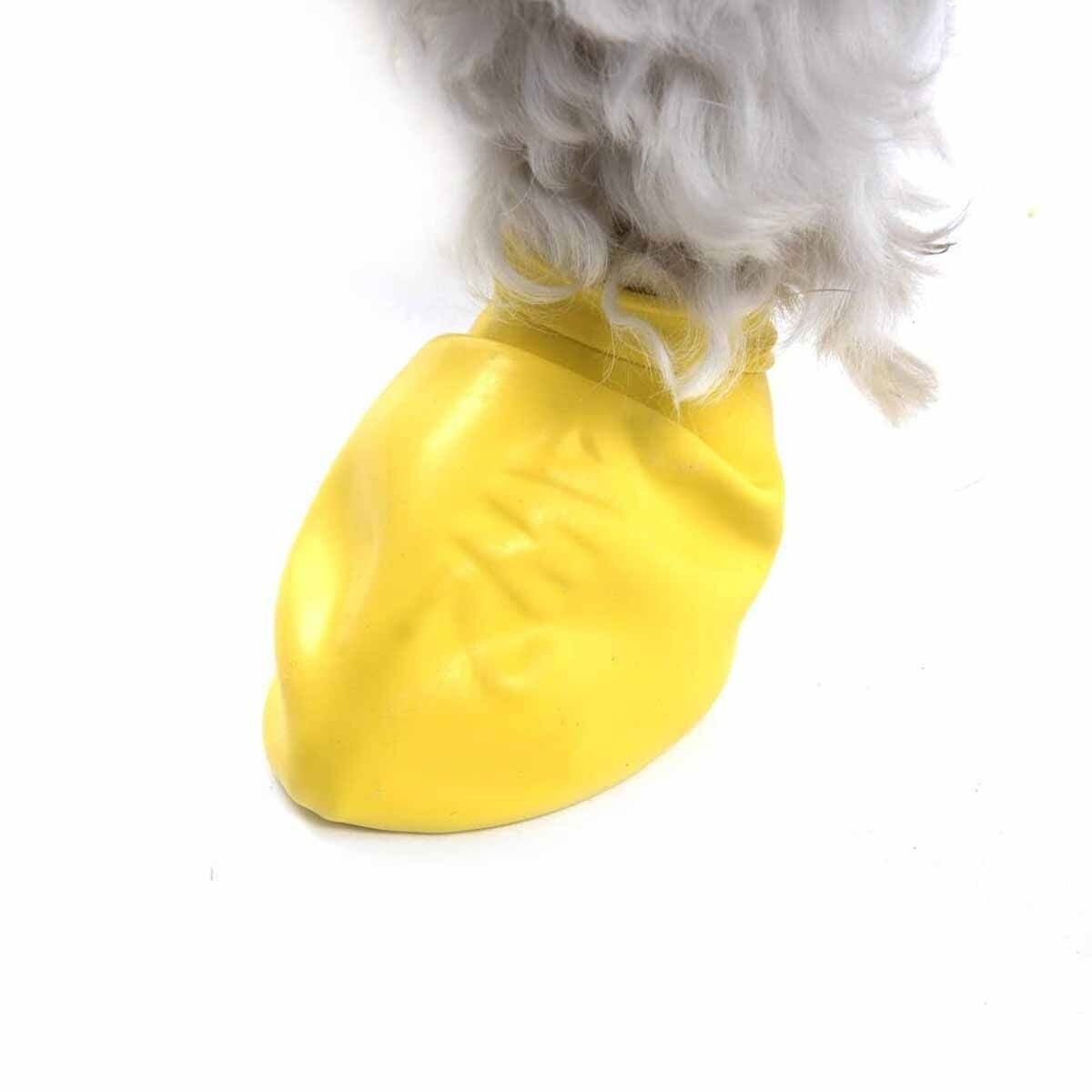 PawZ dog rubber boots color 12pcs