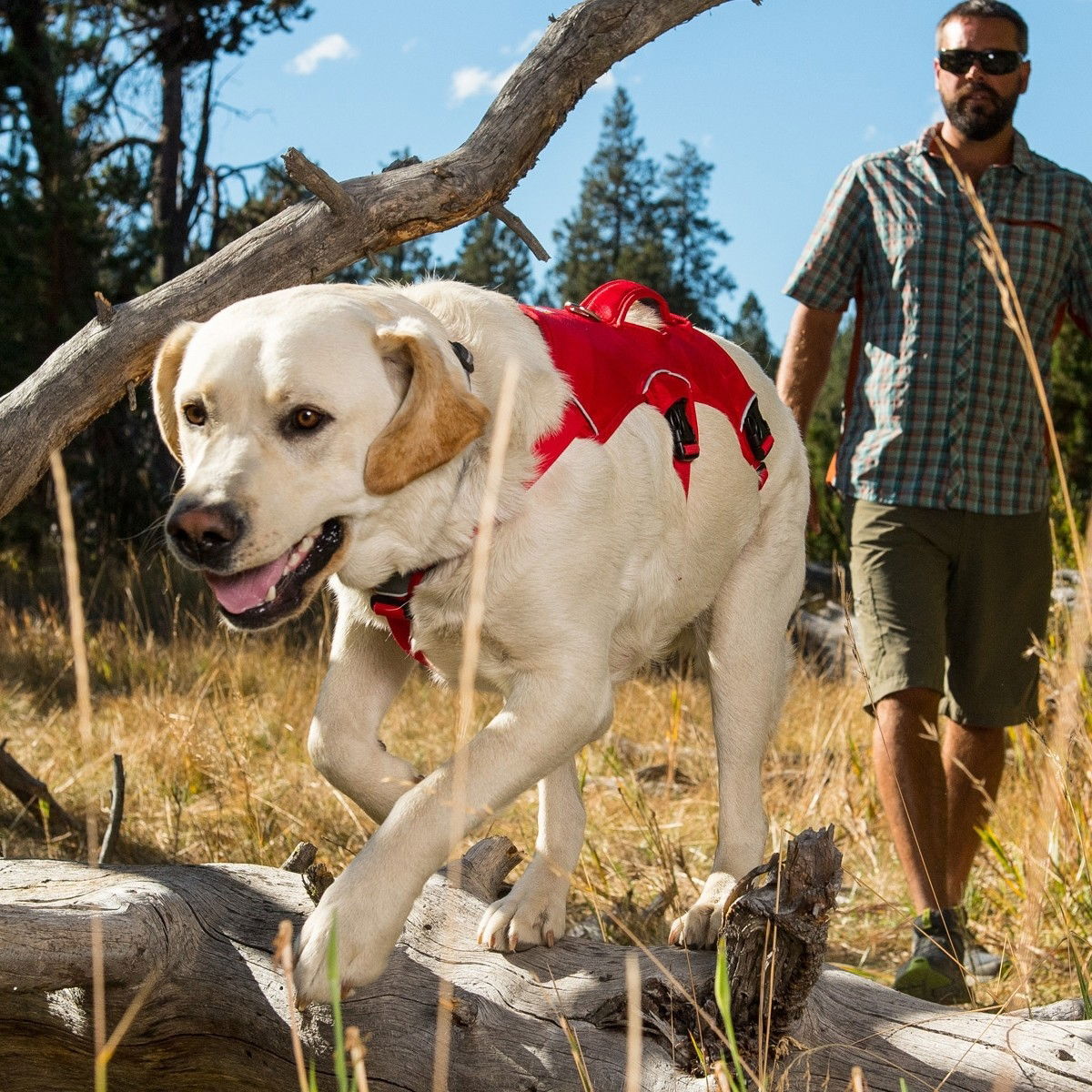 Ruffwear Webmaster valjaat, harmaa