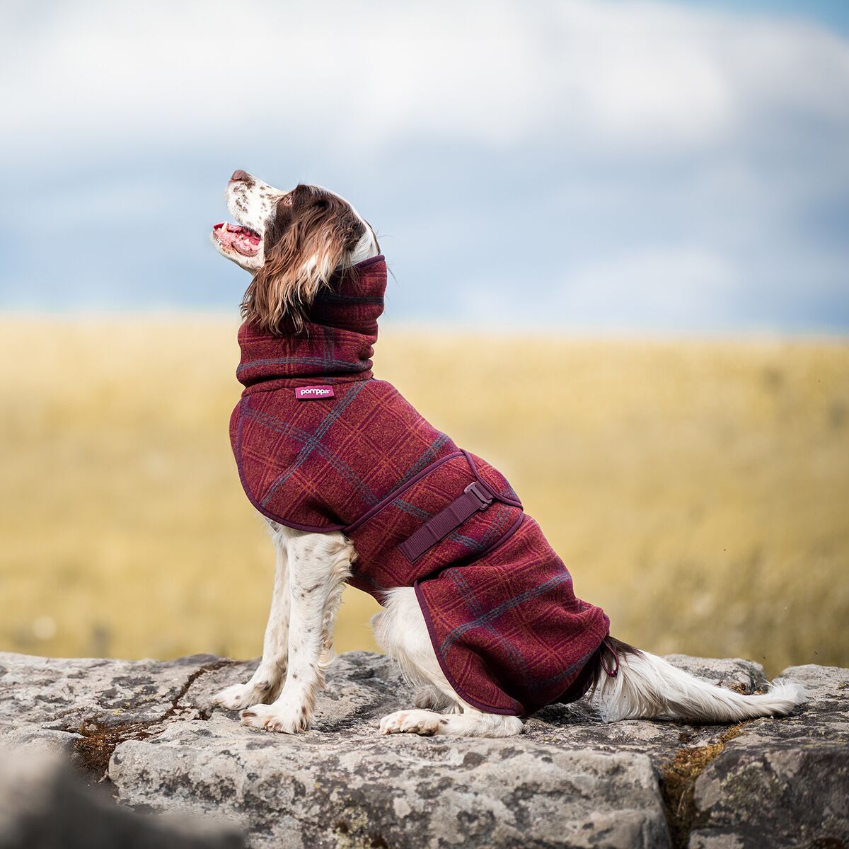 WooliePomppa Maroon