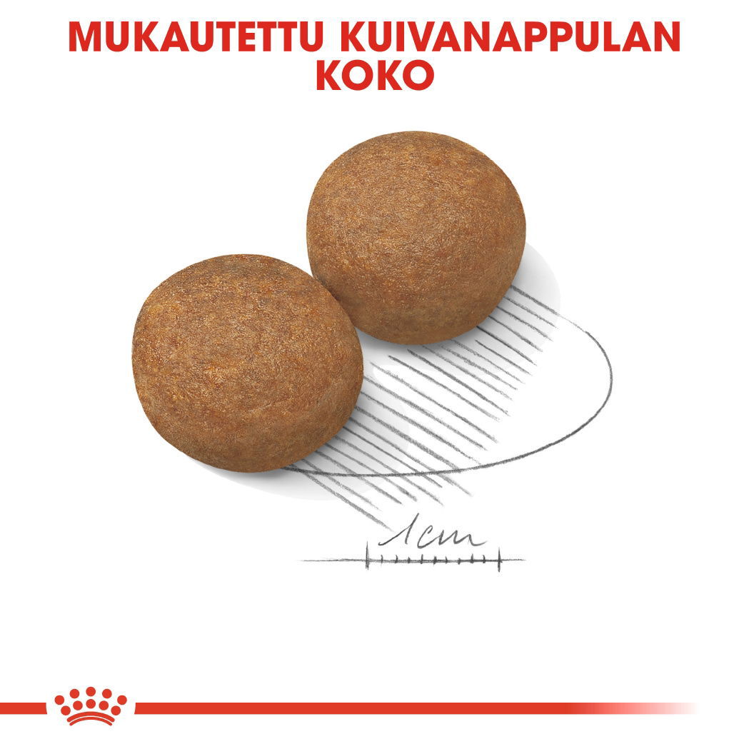 Royal Canin Maxi Adult koiran kuivaruoka