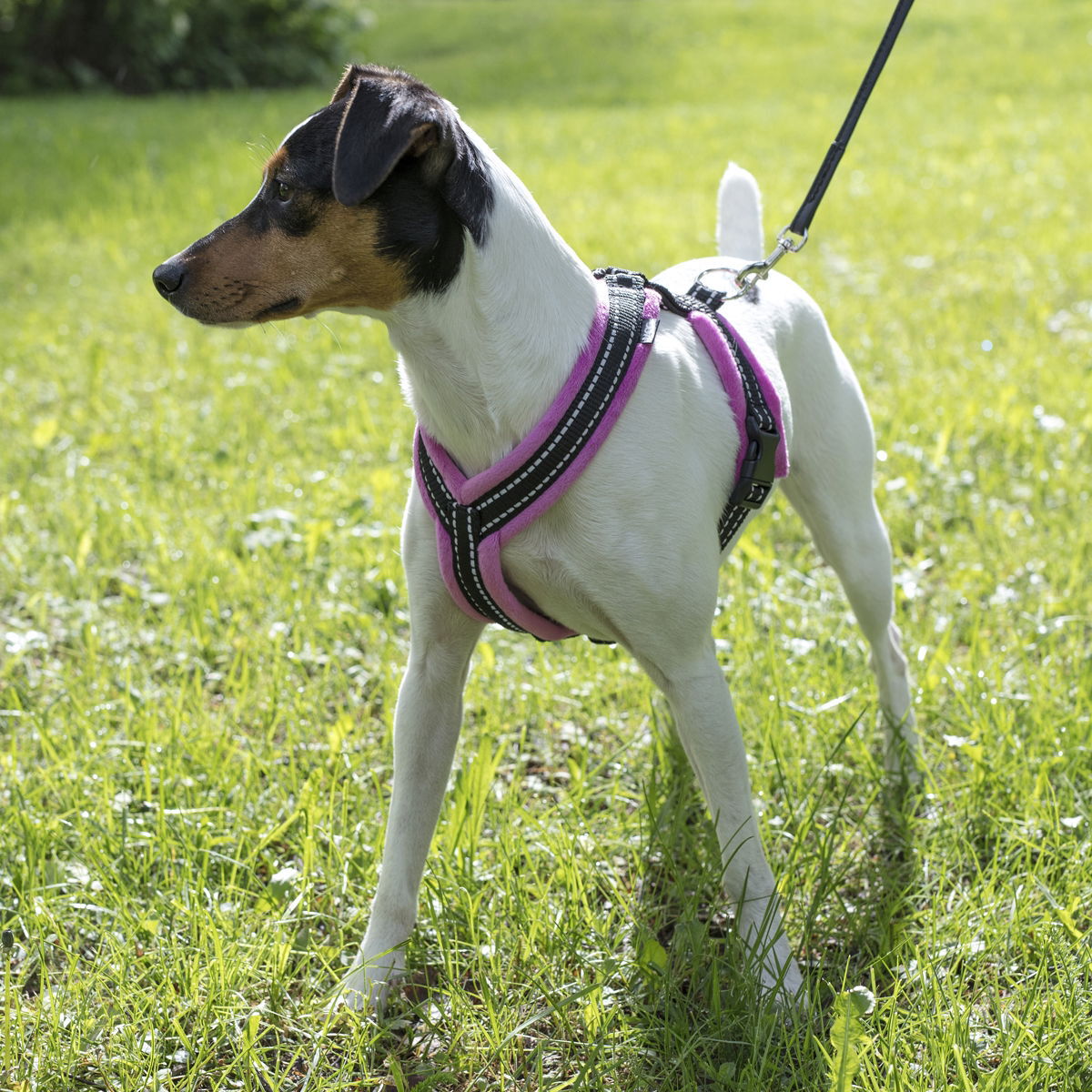 Basic Cosy Y-valjas Pinkki