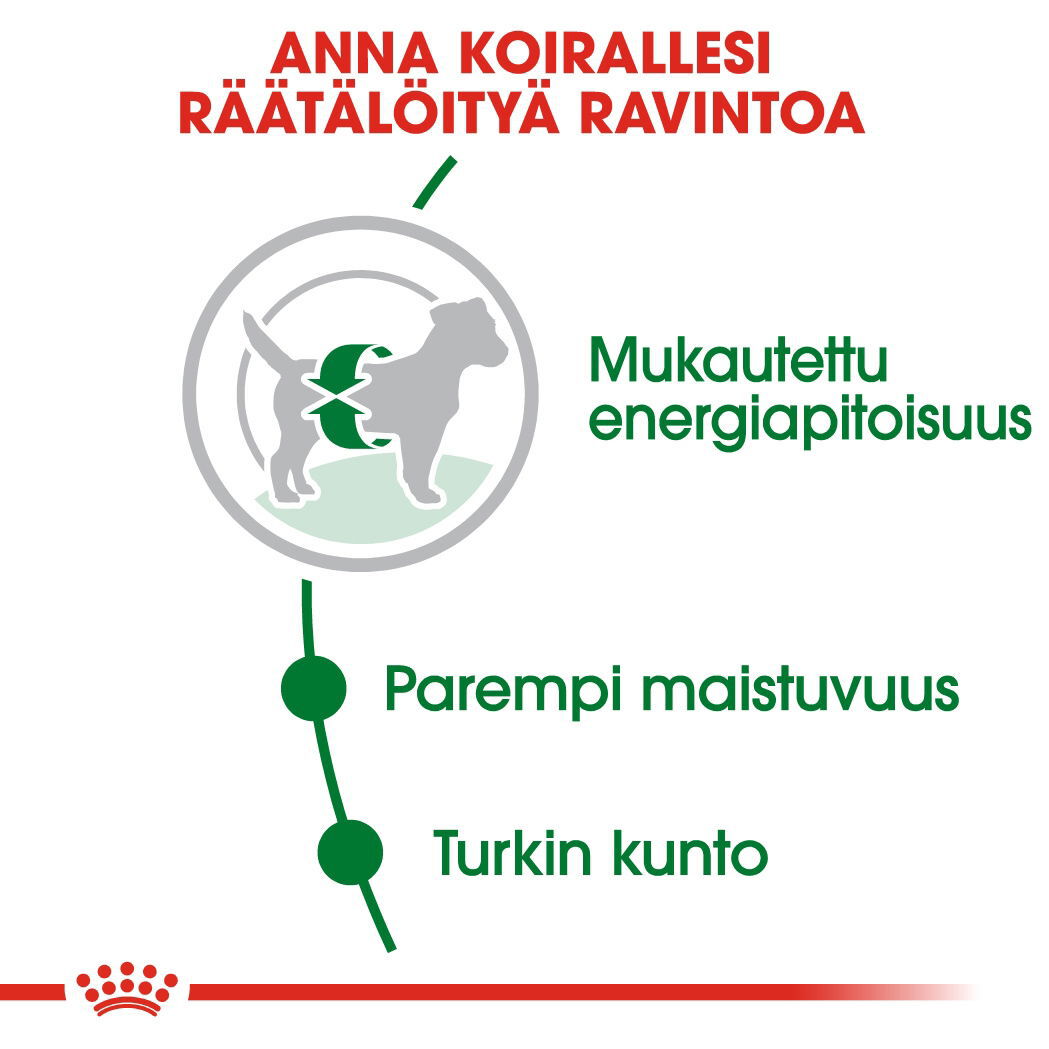 Royal Canin Mini Adult koiran kuivaruoka
