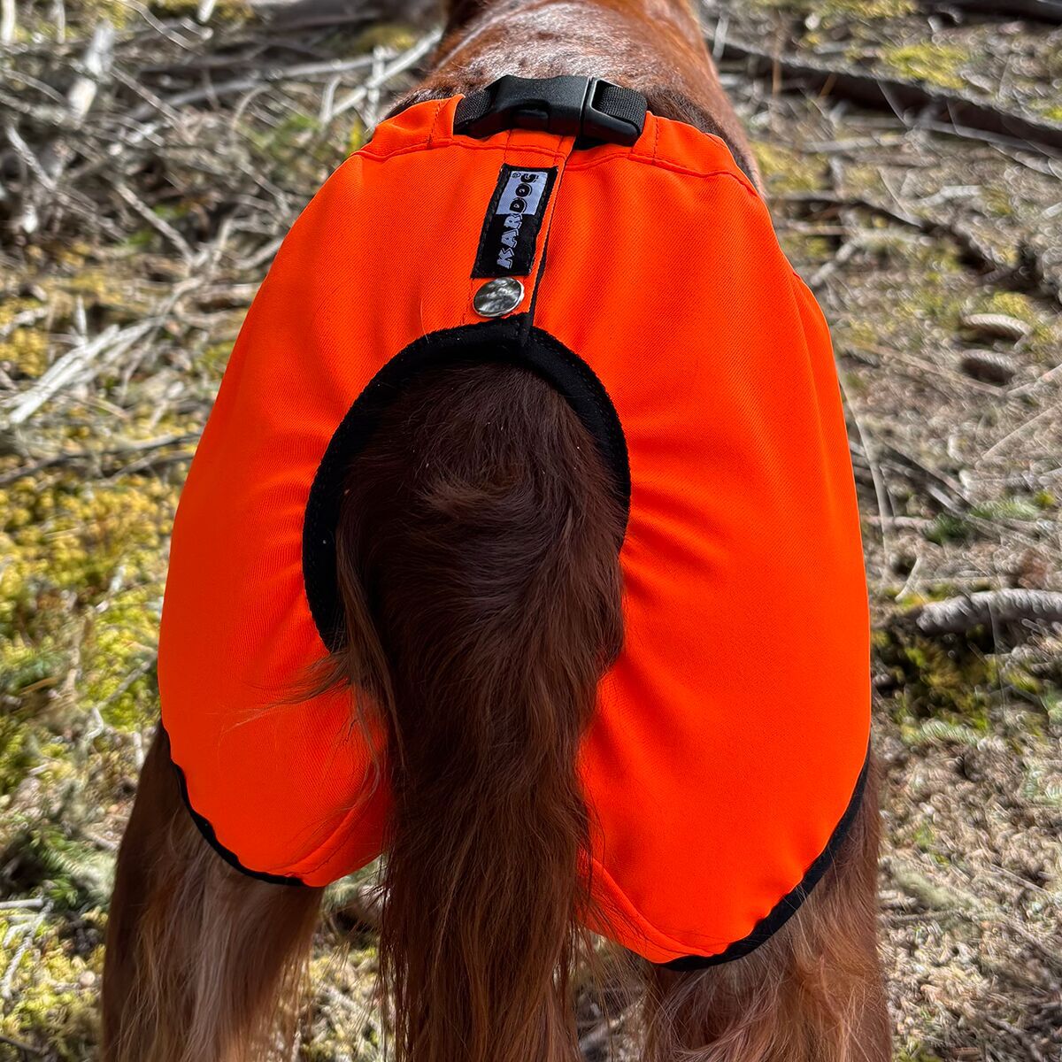 Koiran kivessuoja Kaapo, Kardog