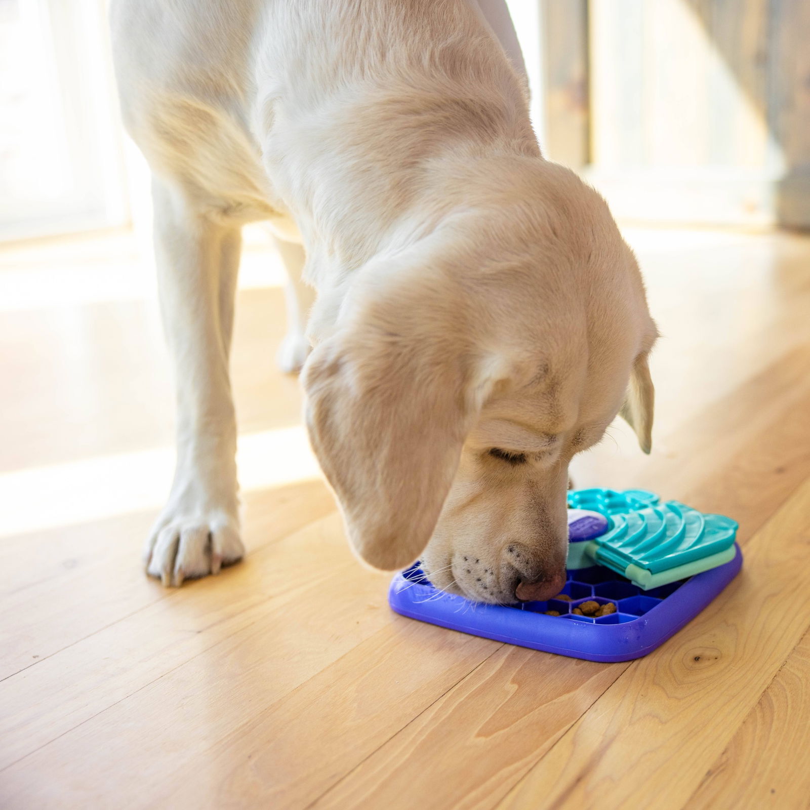 Nina Ottosson Lick N Flip lila S