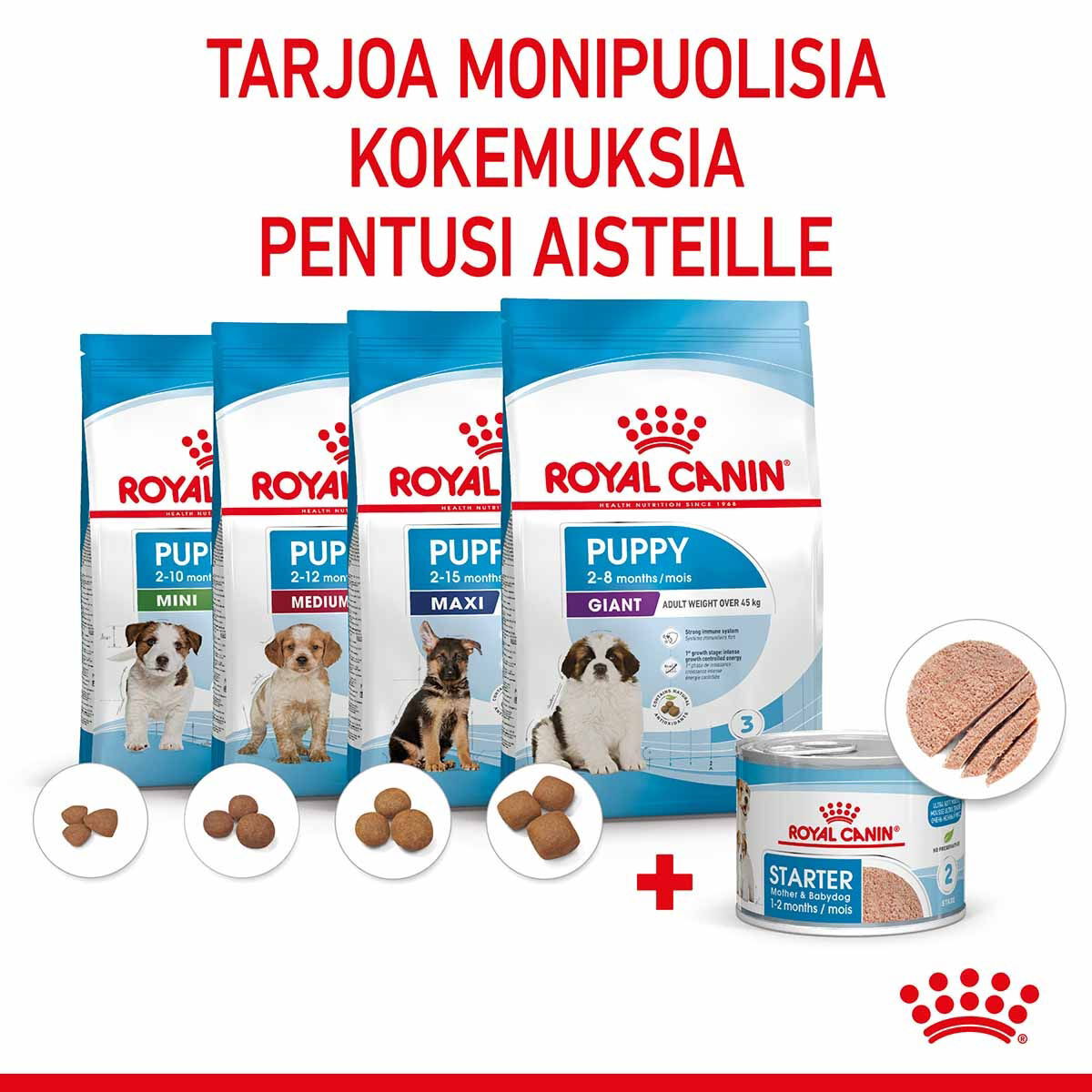 Royal Canin Mother & Babydog Starter Mousse märkäruoka nartuille ja vieroitettaville pennuille