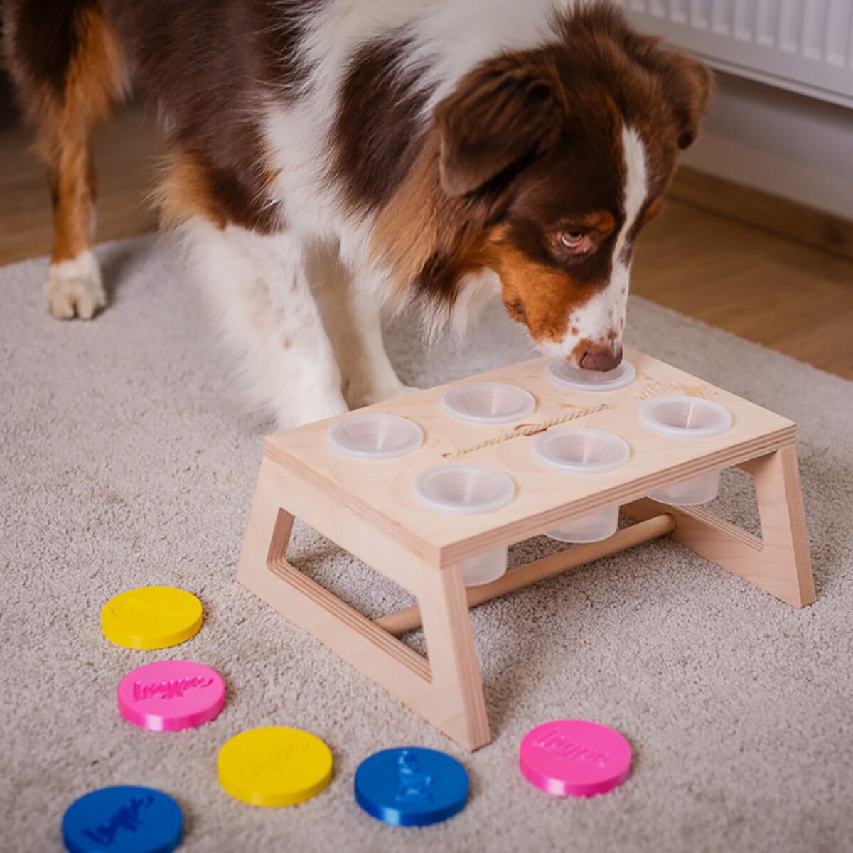 Loype Nosework Stand w. containers