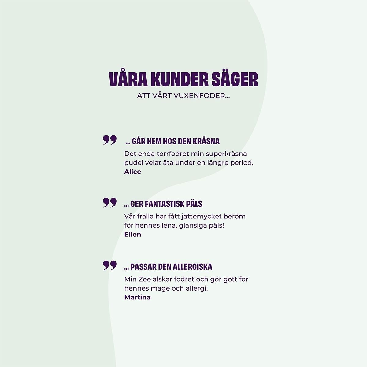 Petgood insect-based dog food adult