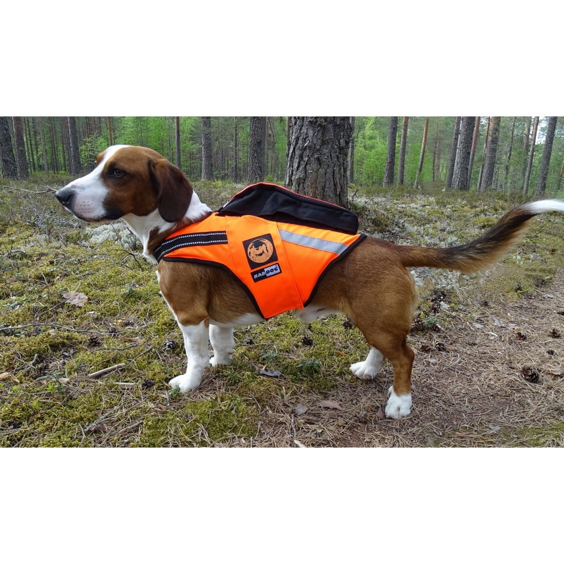 Kelluttava GPS-liivi Jehu, Kardog 