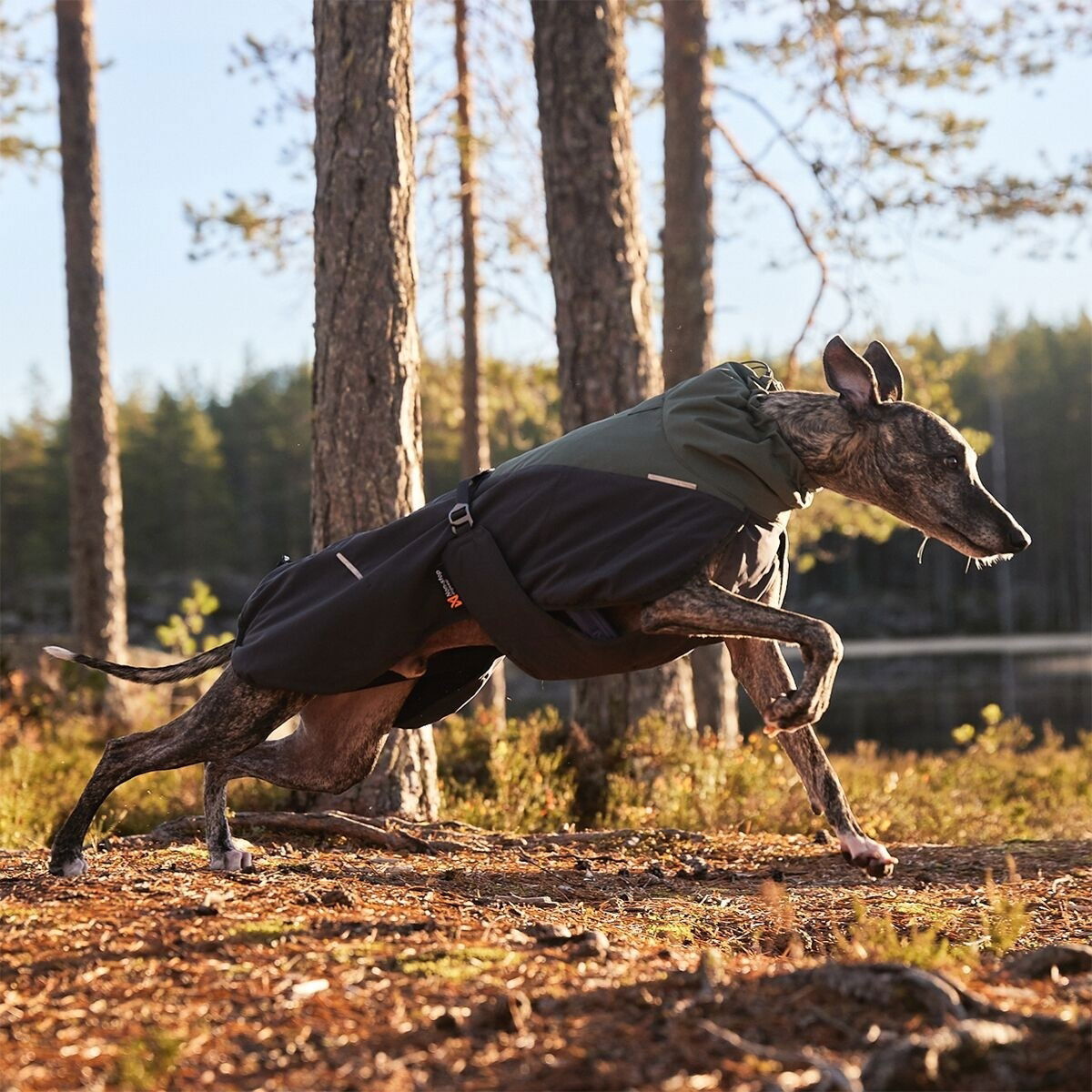 Non-Stop Glacier wool jacket 2.0, green/grey