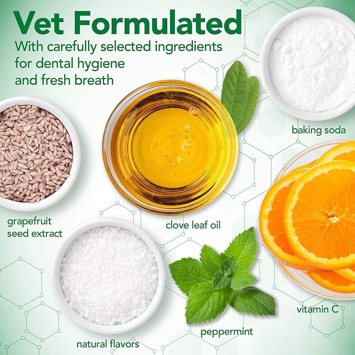 Vet's Best Dog Dental Care Kit