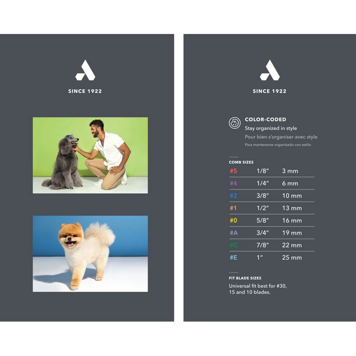 Andis leikkuukampasetti ruostumaton teräs 8 kpl