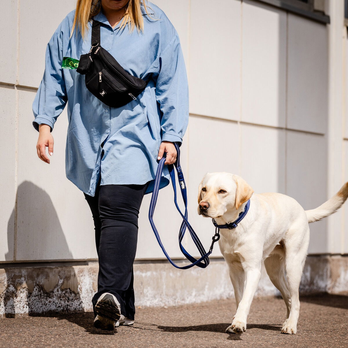 Feel Active Tour vyölaukku herkuille irroitettavalla kakkapussikotelolla musta