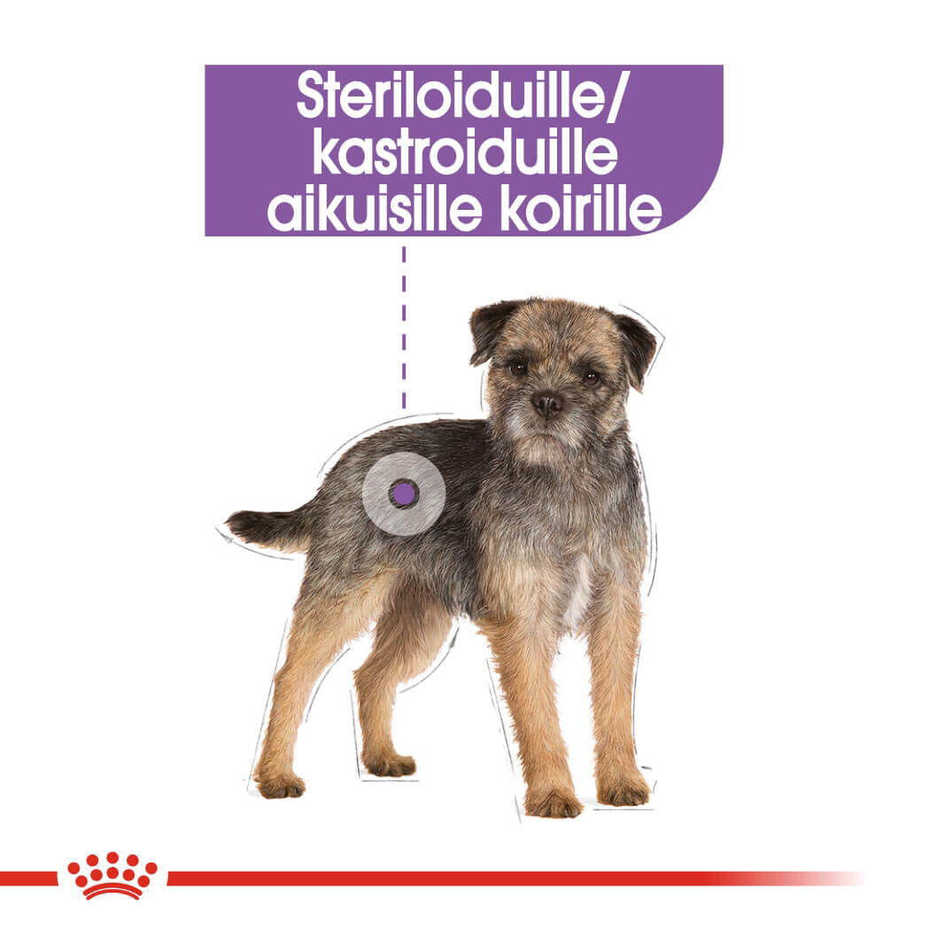 Royal Canin Sterilised Adult Loaf koiran märkäruoka