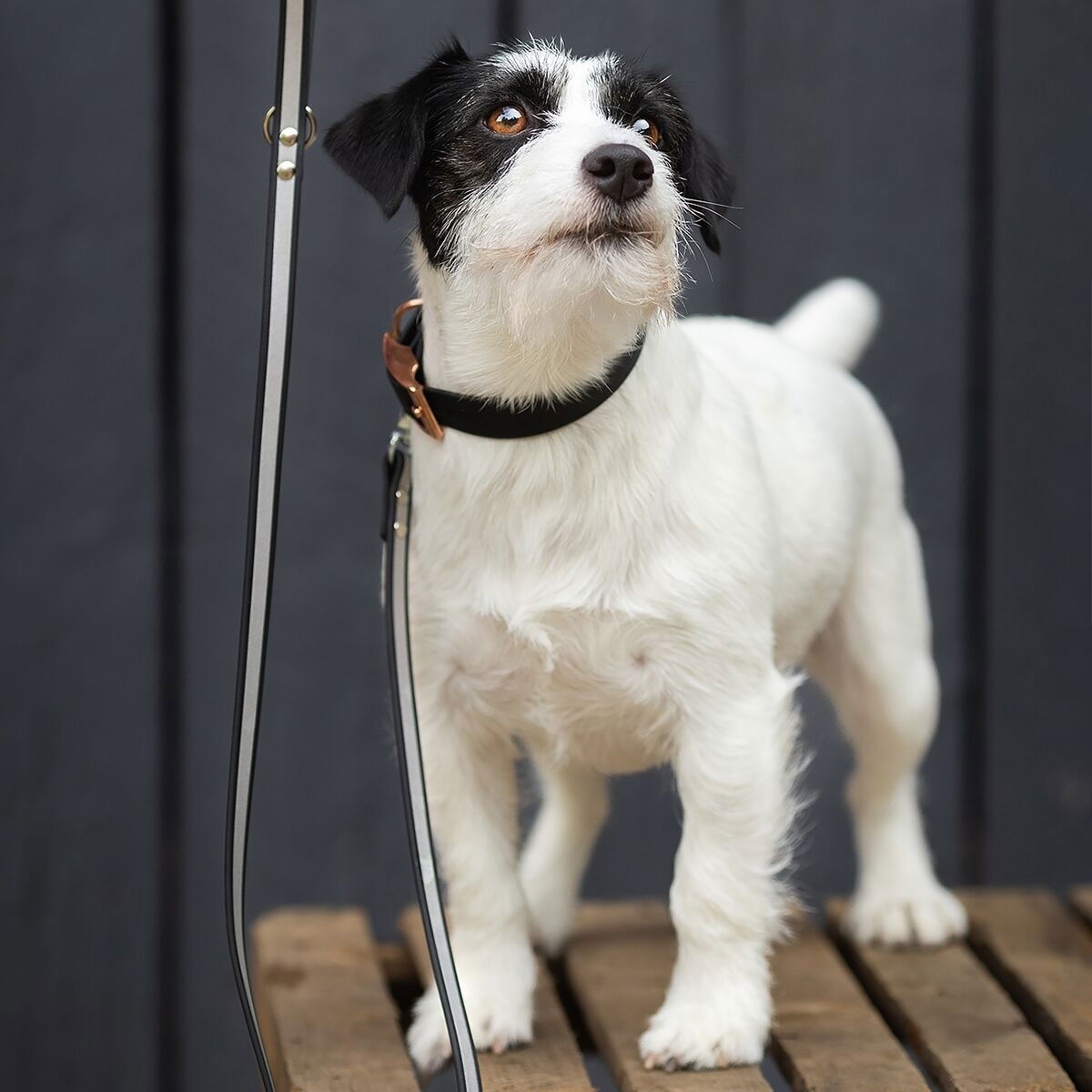 Heijastintalutin Tyylivoitto Shine Eazy, musta