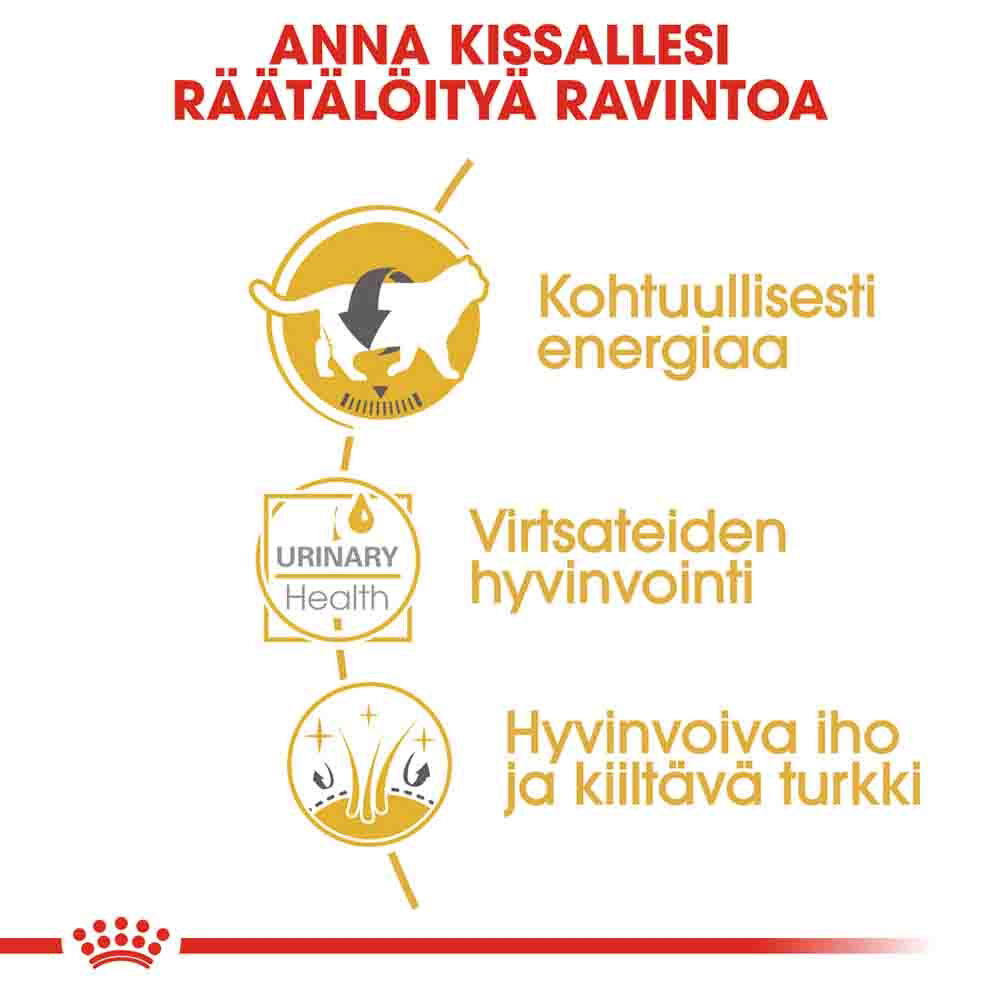 Royal Canin British Shorthair Adult Gravy kissan märkäruoka
