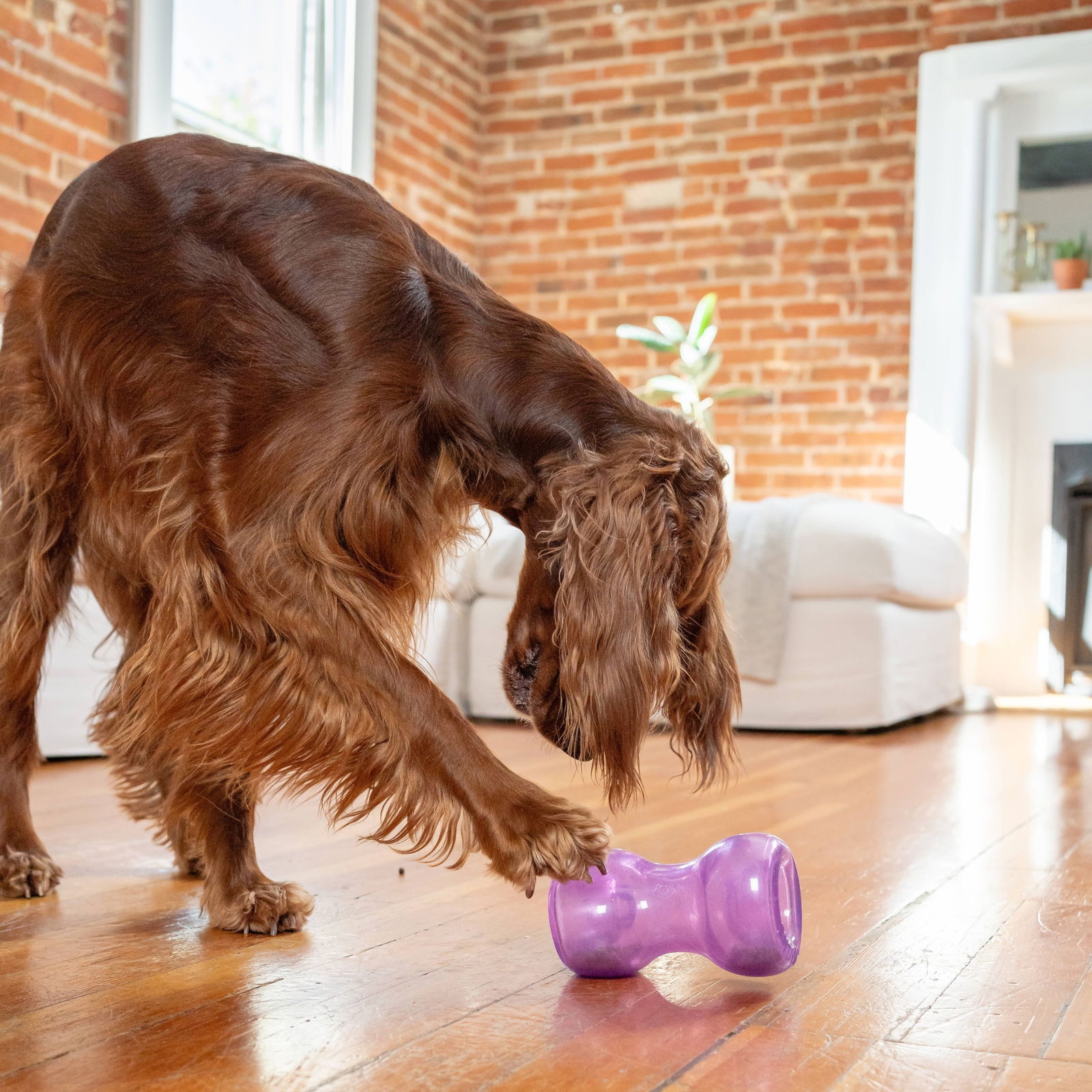 Nina Ottosson Outward Hound Double Snoop lila