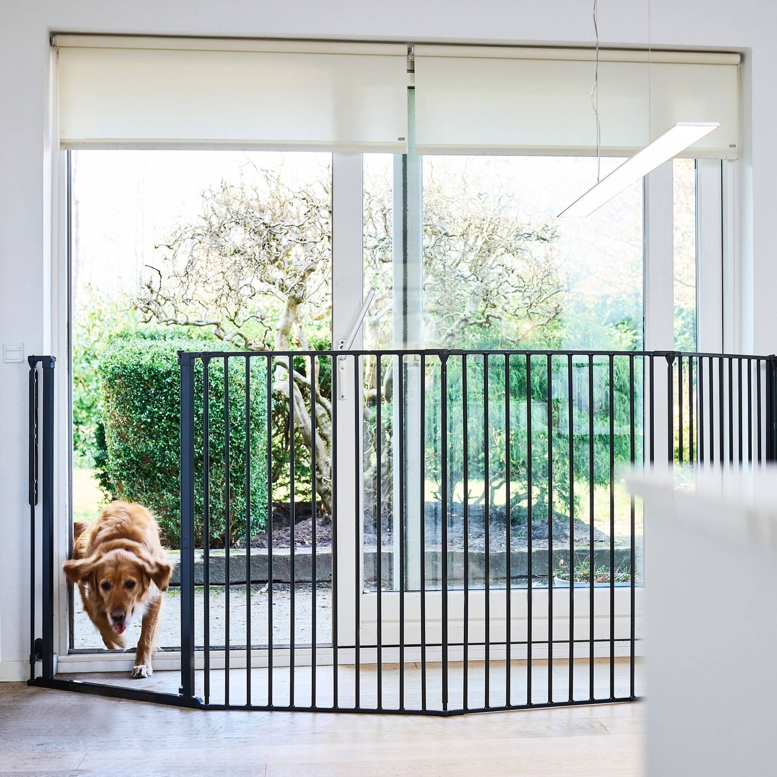 DogSpace Rocky seinään kiinnitettävä monilaajeneva portti ekstrakorkea