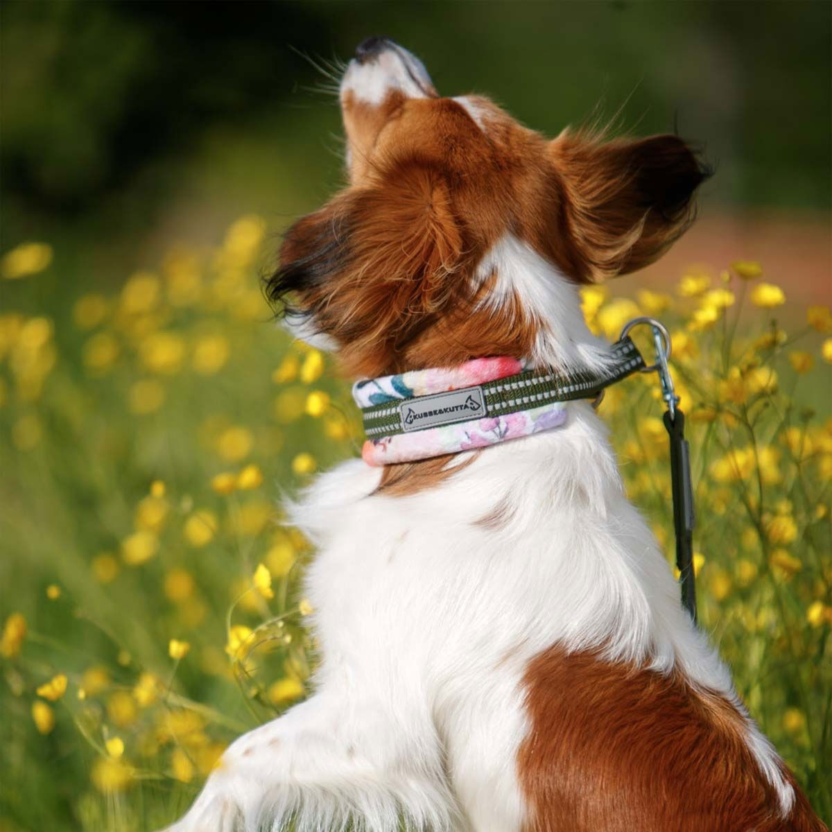 Kusse & Kutta half choke collar, garden flowers