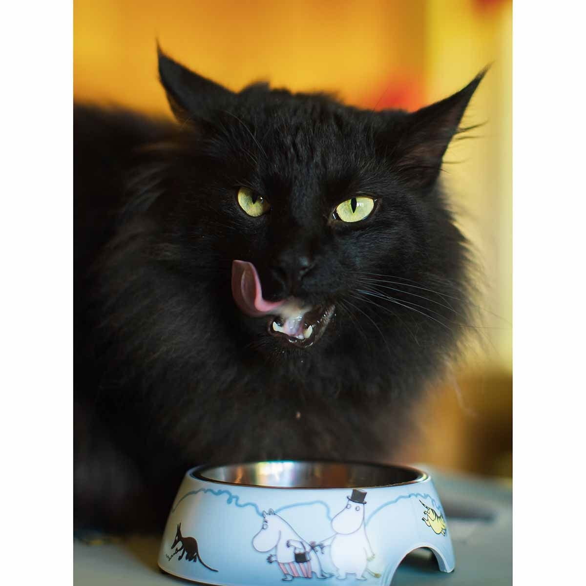 Moomin for Pets food kulho S