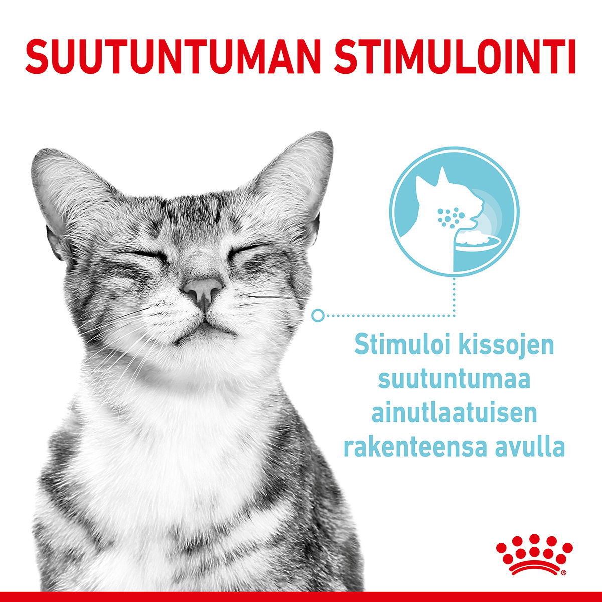 Royal Canin Sensory Feel Gravy Adult kissan märkäruoka