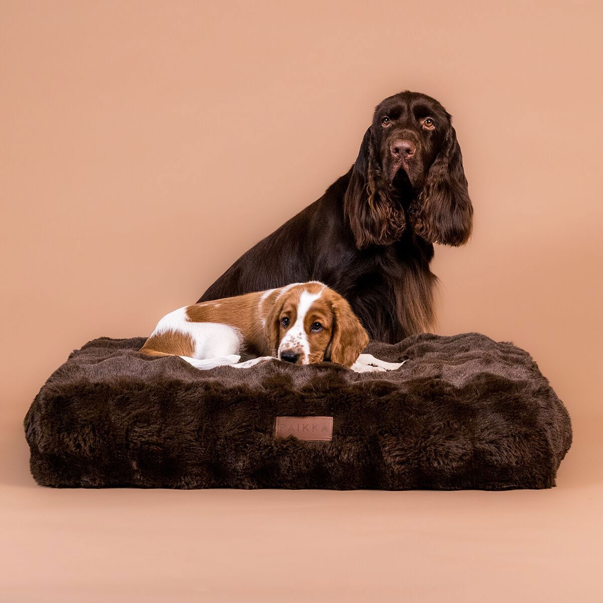 Orthopedic dog bed PAIKKA Lounge