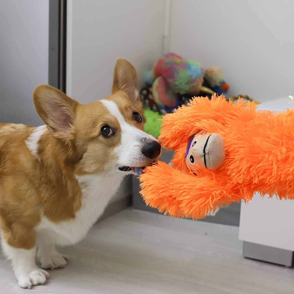 KONG Tuggz Apina, XL