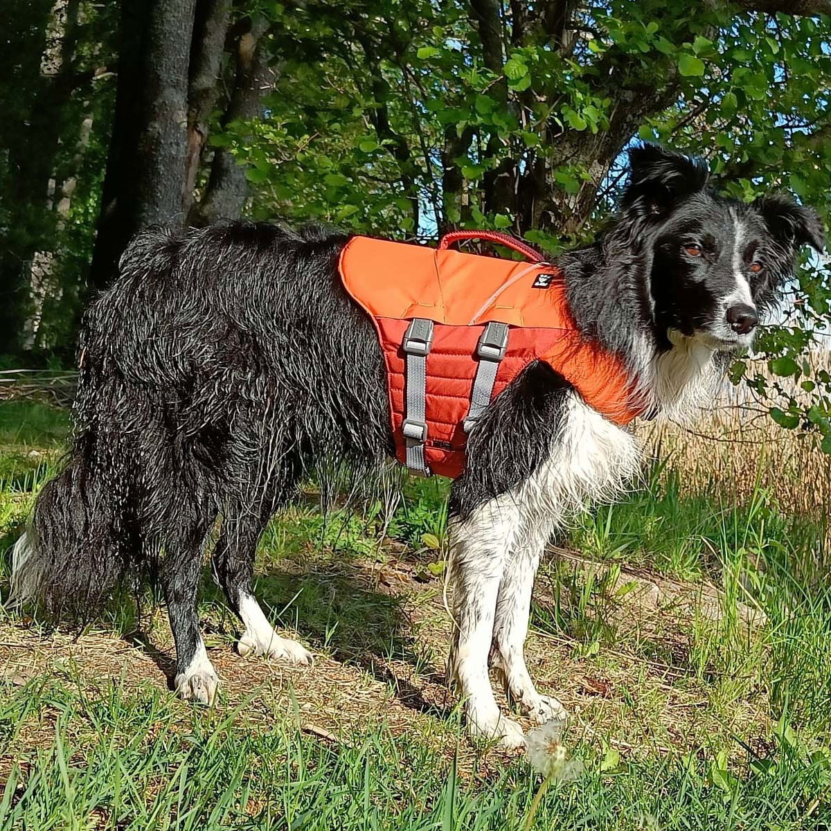 Hurtta Life Savior ECO, buckthorn