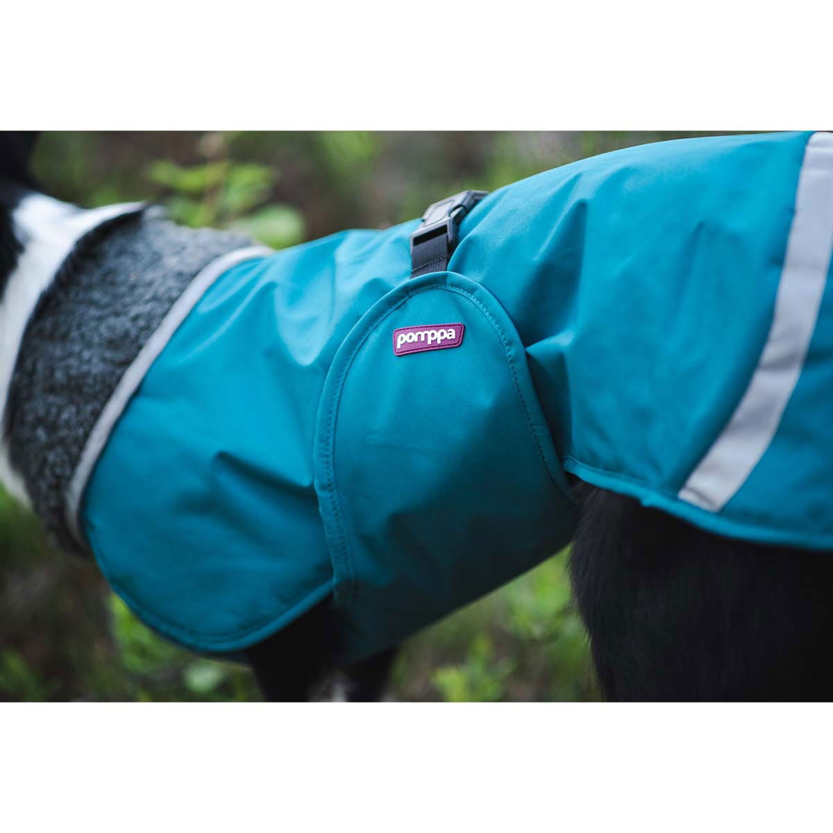 PerusPomppa koiran takki, petrooli