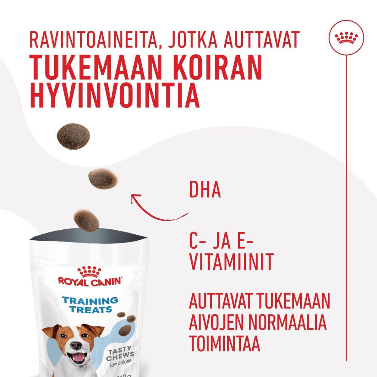Royal Canin Dog Training Treats 110g