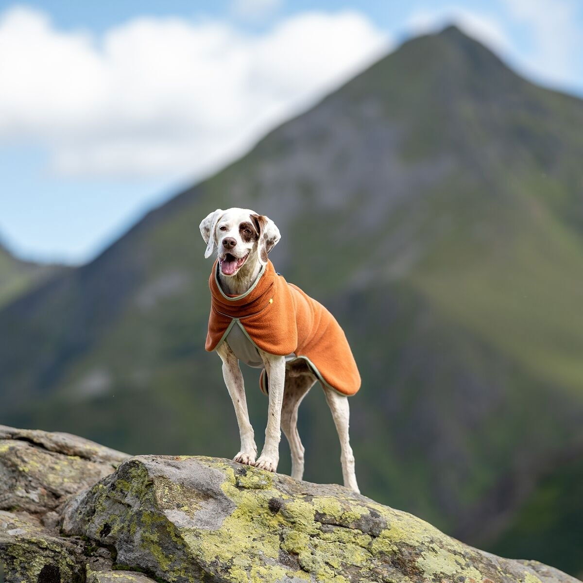 Woolly Wolf Alpha 360 Fleece pullover, Terracotta Mix