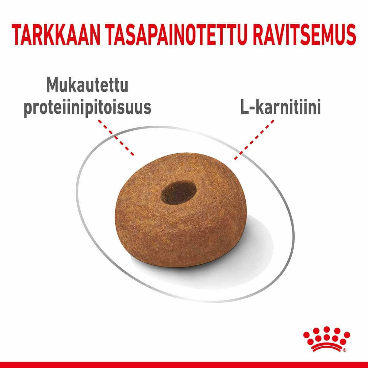 Royal Canin Light weight Care Maxi Adult koiran kuivaruoka