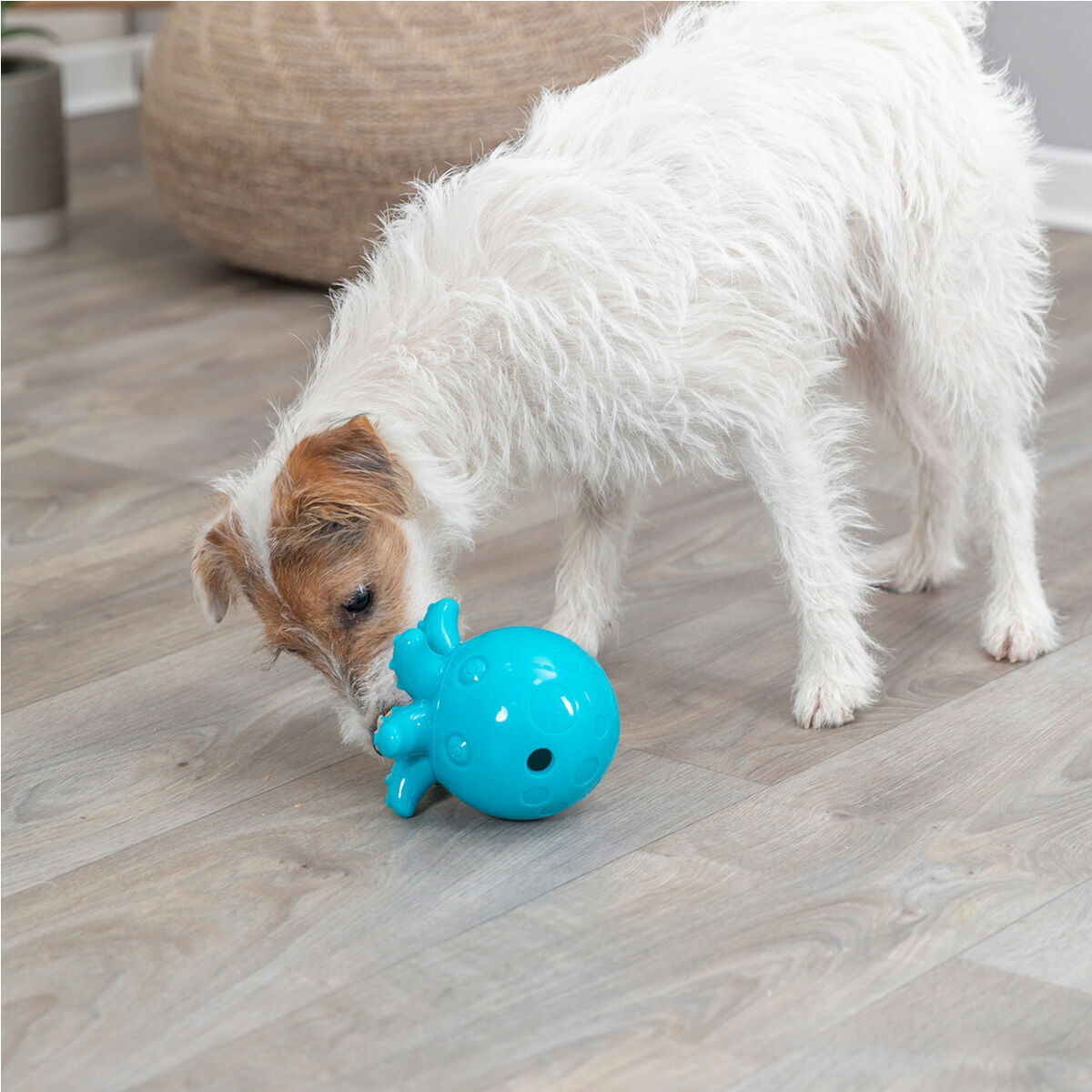 TR Snack-Octopus 11cm