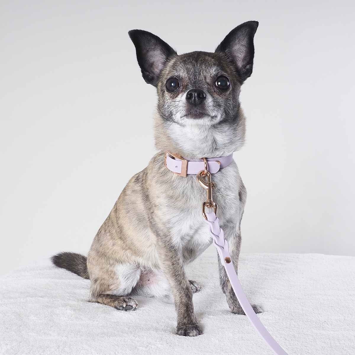 Tyylivoitto Braid hihna laventeli/ruusukulta