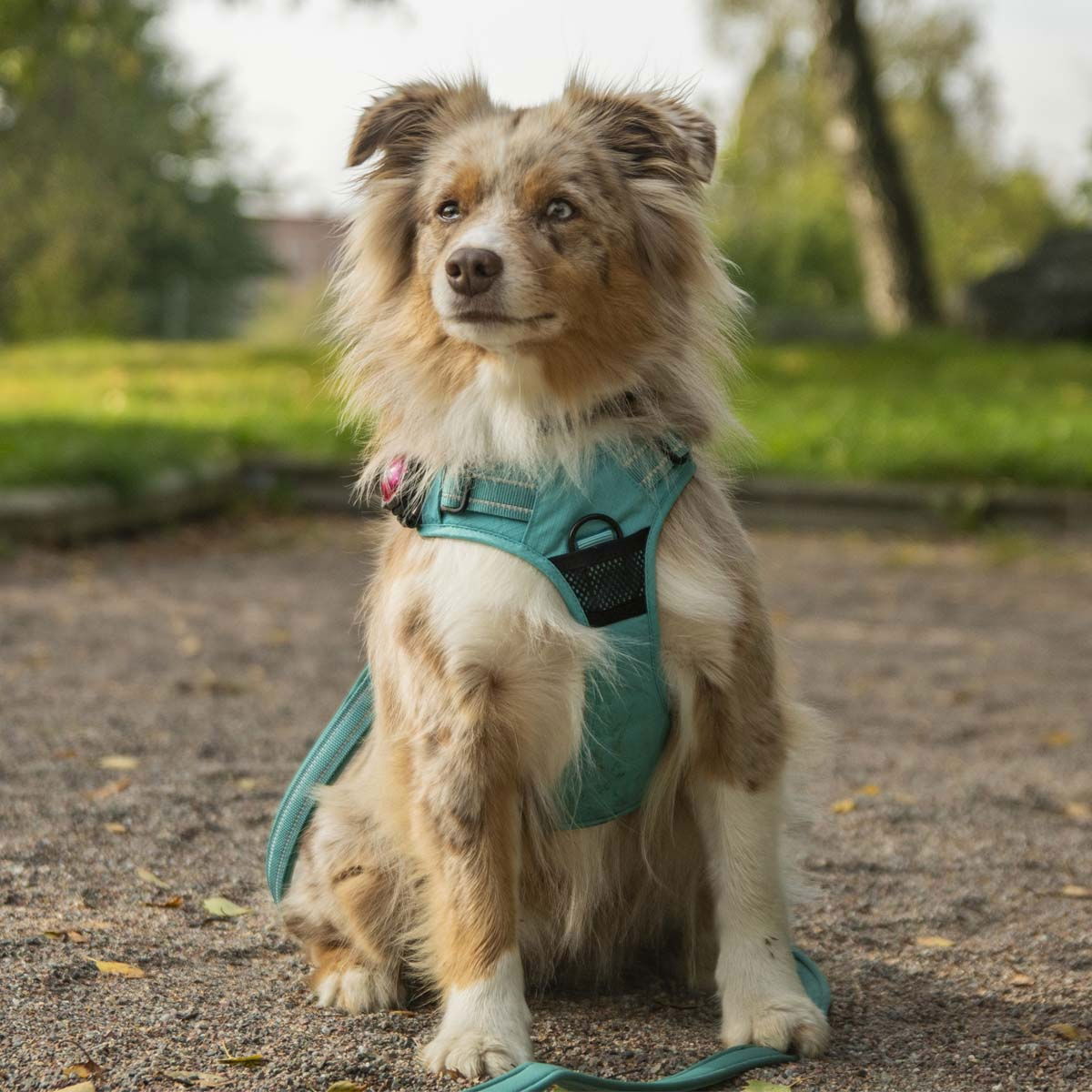 Feel Active Training valjas turkoosi