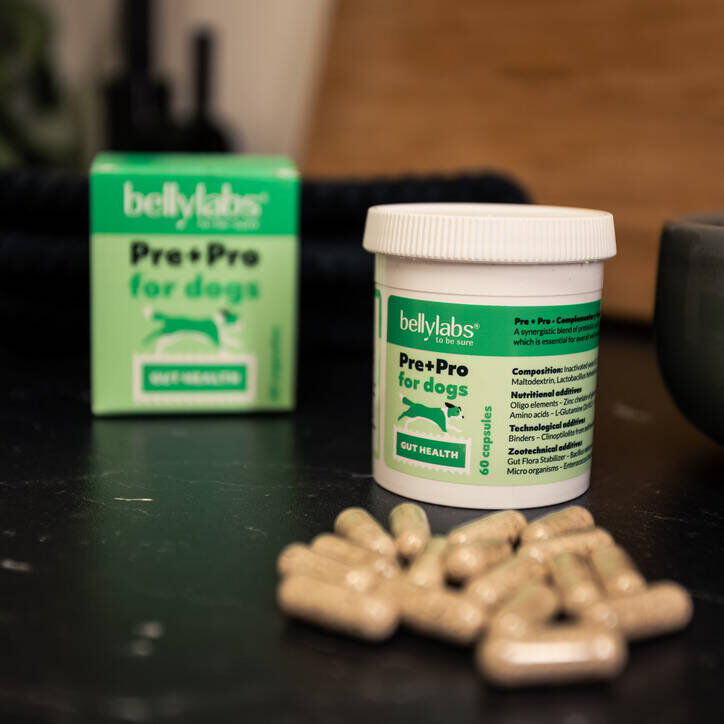 Bellylabs Pre+Pro 60 kapselia